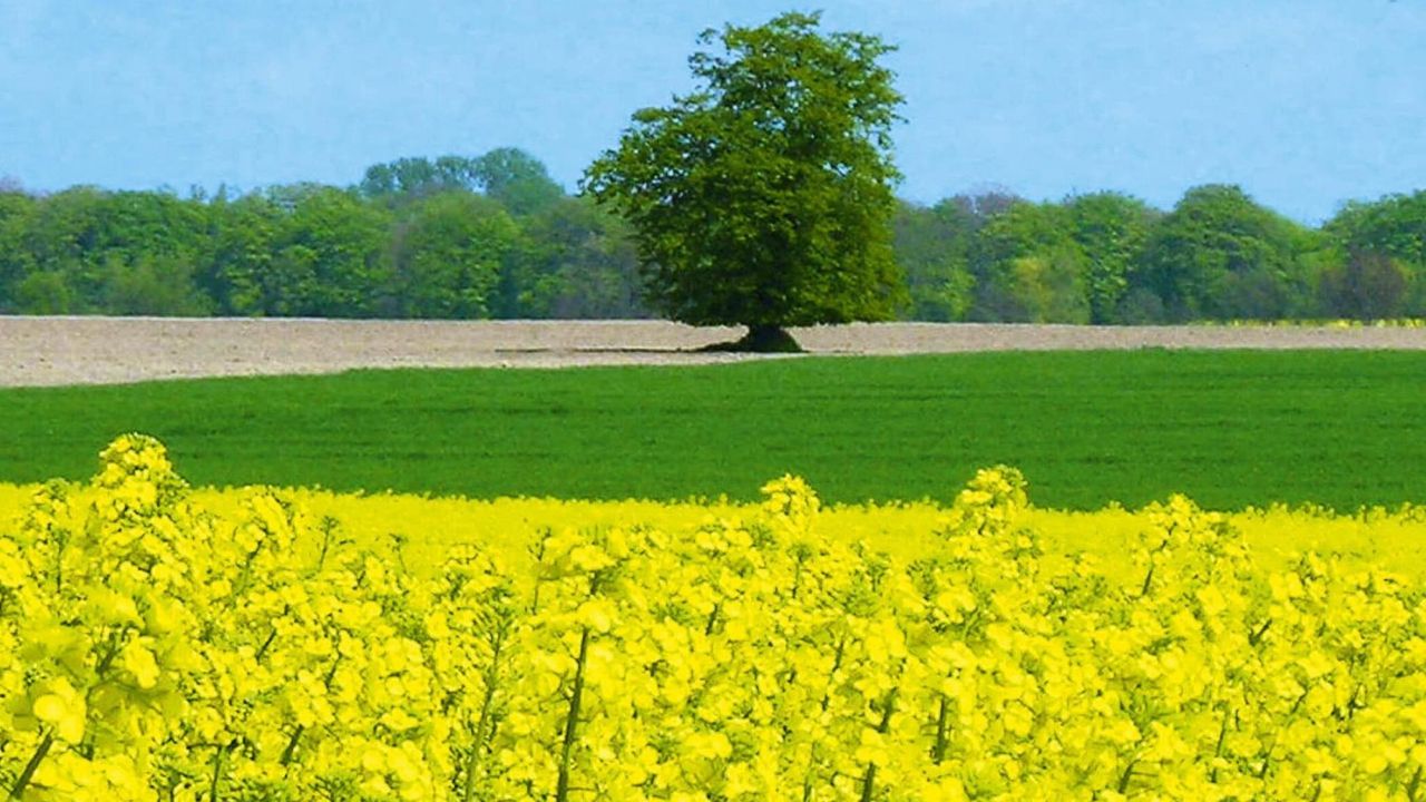 AreaSummer20KM AreaSummer20KM